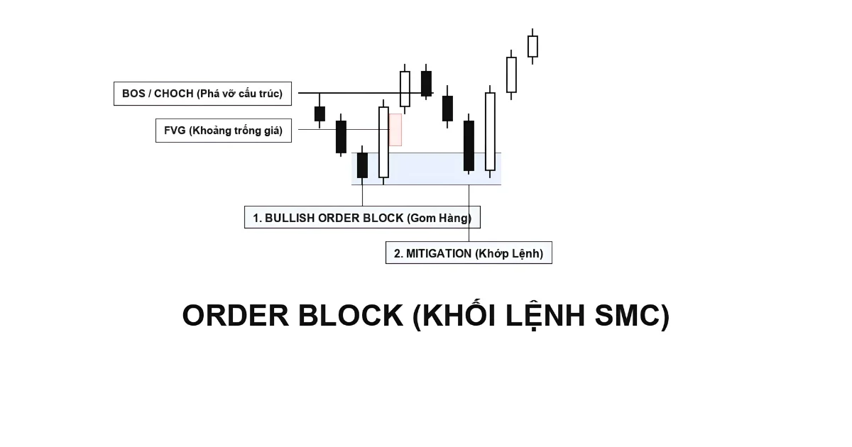 Bắt Đáy Bằng Bài Order Block: Nhận Diện Dấu Chân Gom Hàng Của Dòng Tiền Lớn