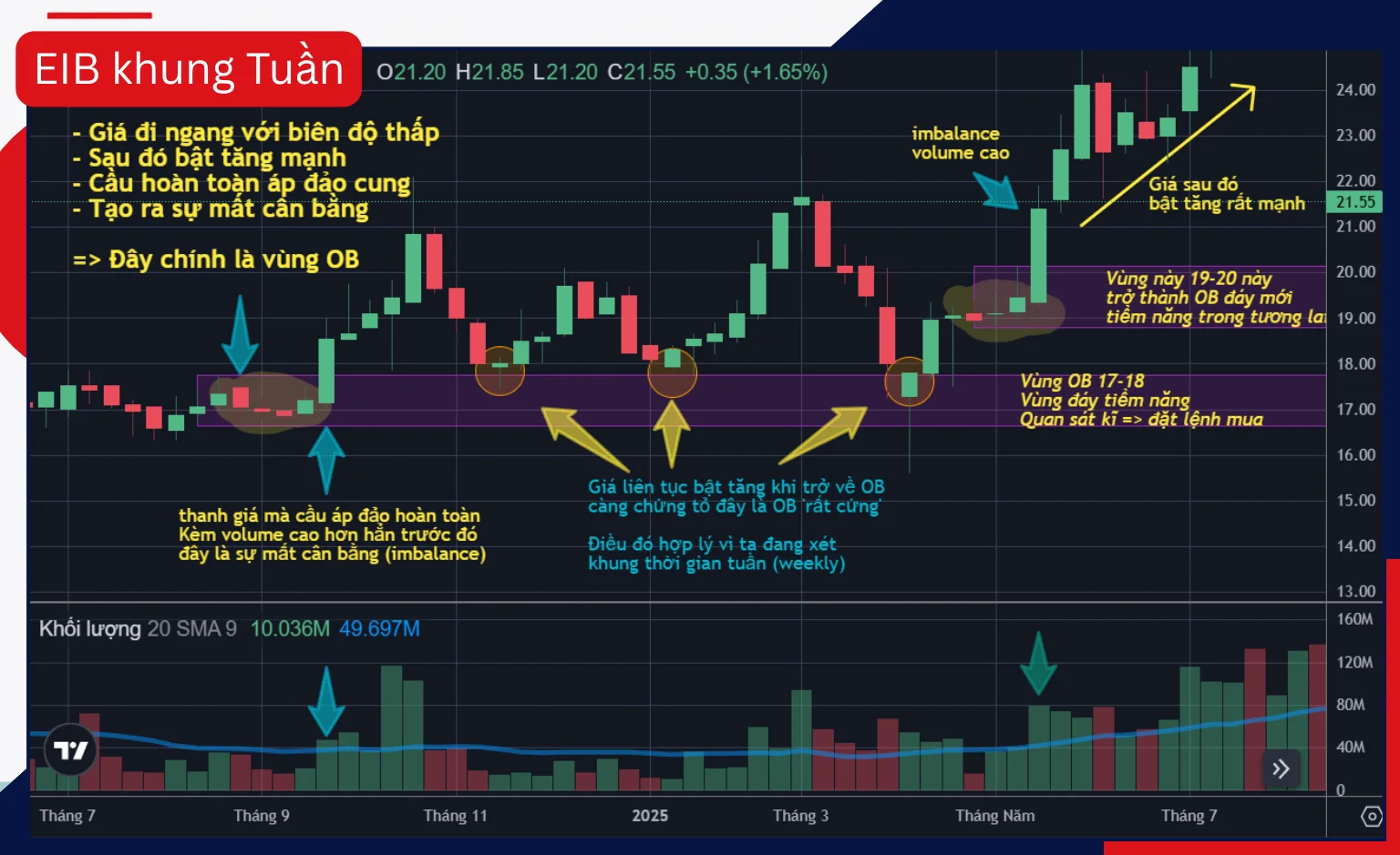 EIB_Weekly1.webp