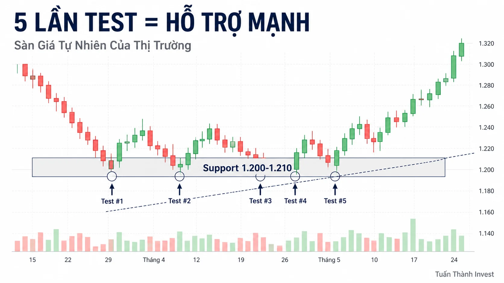 Sự Thật: Đặc Điểm Của Một Vùng Hỗ Trợ Mạnh — 5 Dấu Hiệu Không Thể Bỏ Qua